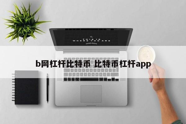 b网杠杆比特币 比特币杠杆app